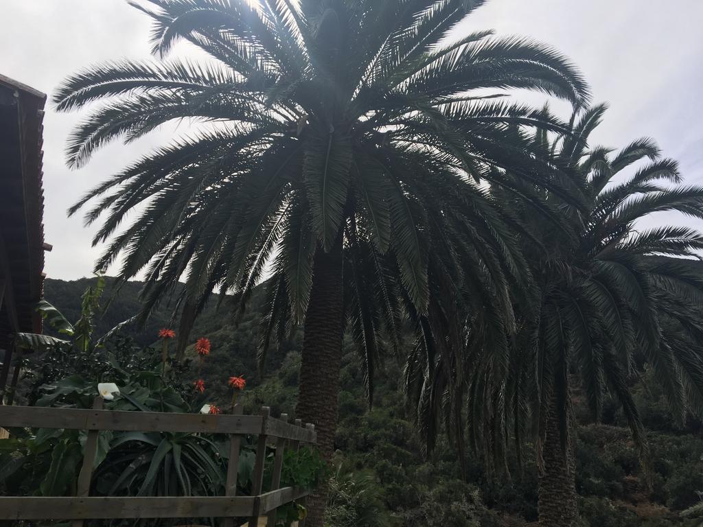 Casa Rural El Rincon De Antonia Agulo Екстериор снимка