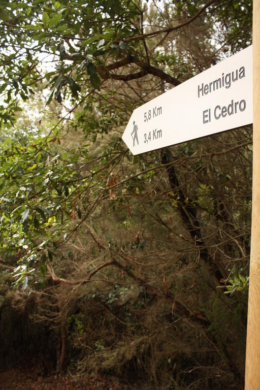 Casa Rural El Rincon De Antonia Agulo Екстериор снимка