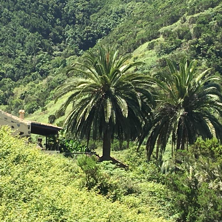 Casa Rural El Rincon De Antonia Agulo Екстериор снимка